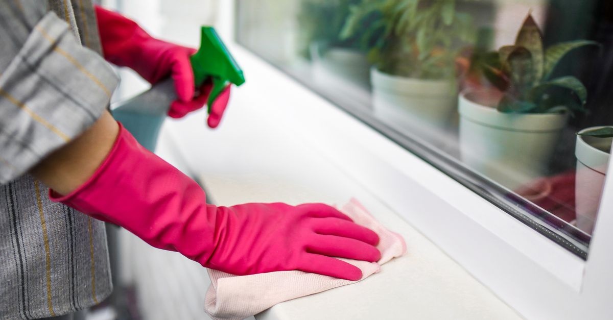 Kristallklare Aussicht: So gelingen dir streifenfreie Fenster im Handumdrehen
