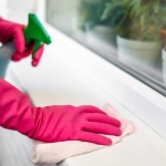 Kristallklare Aussicht: So gelingen dir streifenfreie Fenster im Handumdrehen