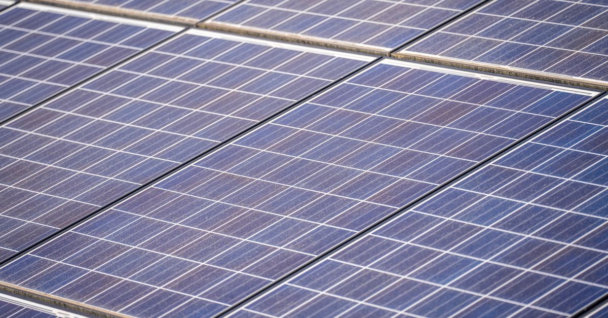Solarmodule im Vergleich: So findest du die beste Lösung für dein Zuhause